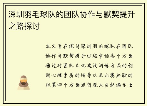 深圳羽毛球队的团队协作与默契提升之路探讨